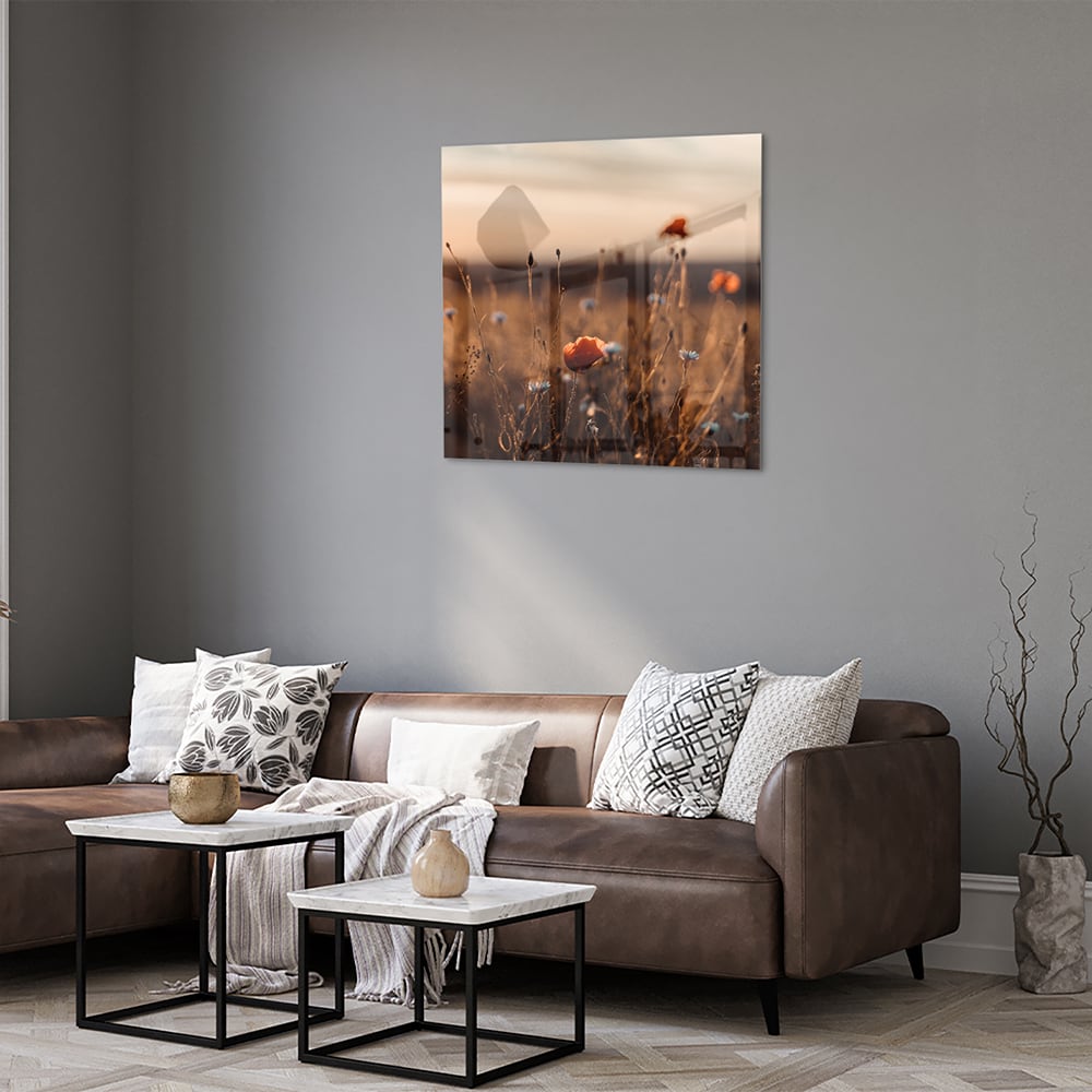 Glasbild – Mohnfeld in sanftem Glanz – Glasbild aus Sicherheitsglas, Größe 120x80