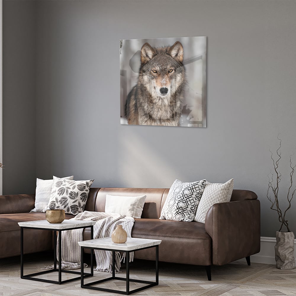 Beeindruckendes Glasbild mit einem Wolf – Glasbild aus Sicherheitsglas, Größe 120x80