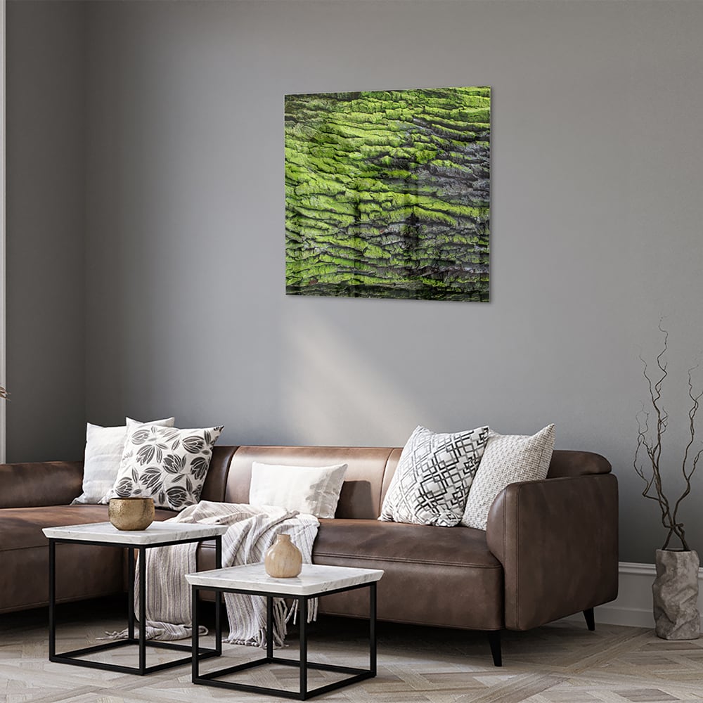 Glasbild mit moosartiger Textur – Glasbild aus Sicherheitsglas, Größe 120x80