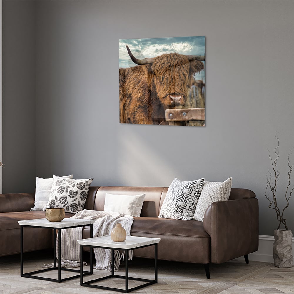Glasbild mit einem Hochlandrind in der Natur – Glasbild aus Sicherheitsglas, Größe 120x80
