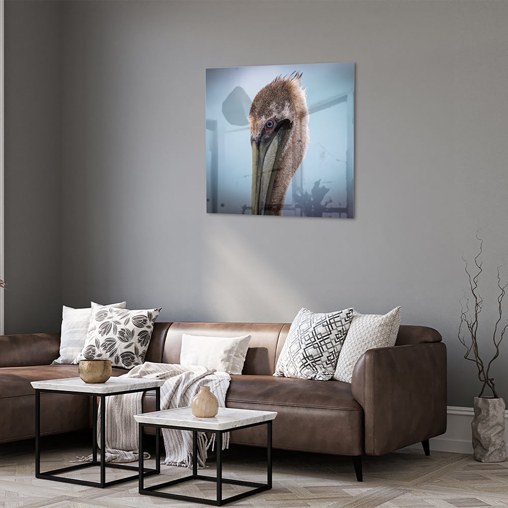 Stilvolles Glasbild mit Pelikan-Porträt – Glasbild aus Sicherheitsglas, Größe 120x80