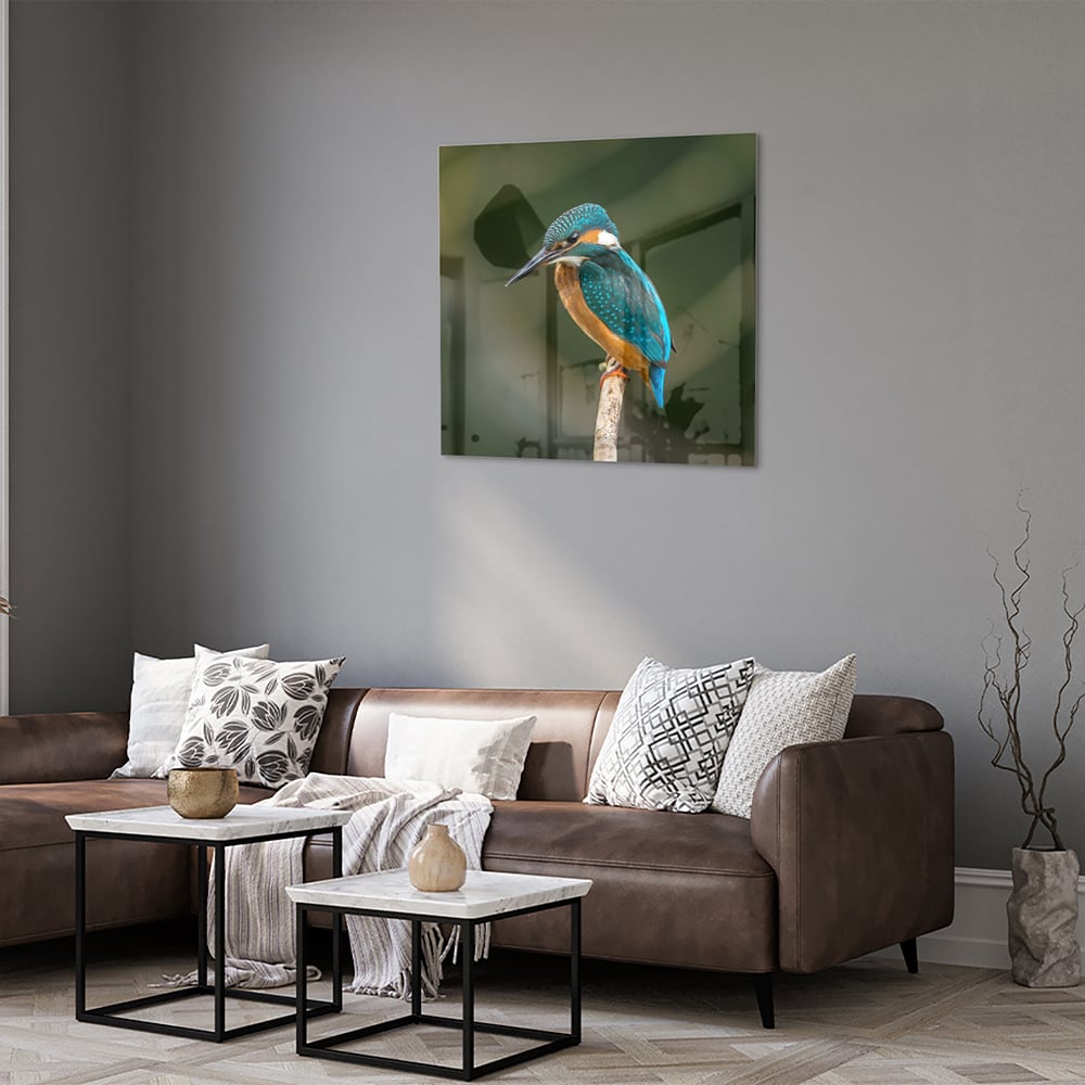 Elegantes Glasbild mit einem Eisvogel – Glasbild aus Sicherheitsglas, Größe 120x80