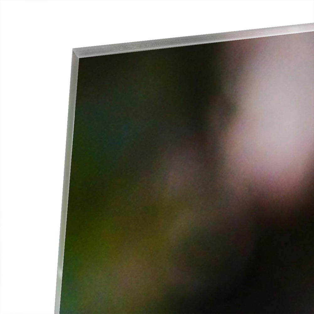 Glasbild mit einem wunderschönen blauen Ara – Glasbild aus Sicherheitsglas, Größe 100x100_rond
