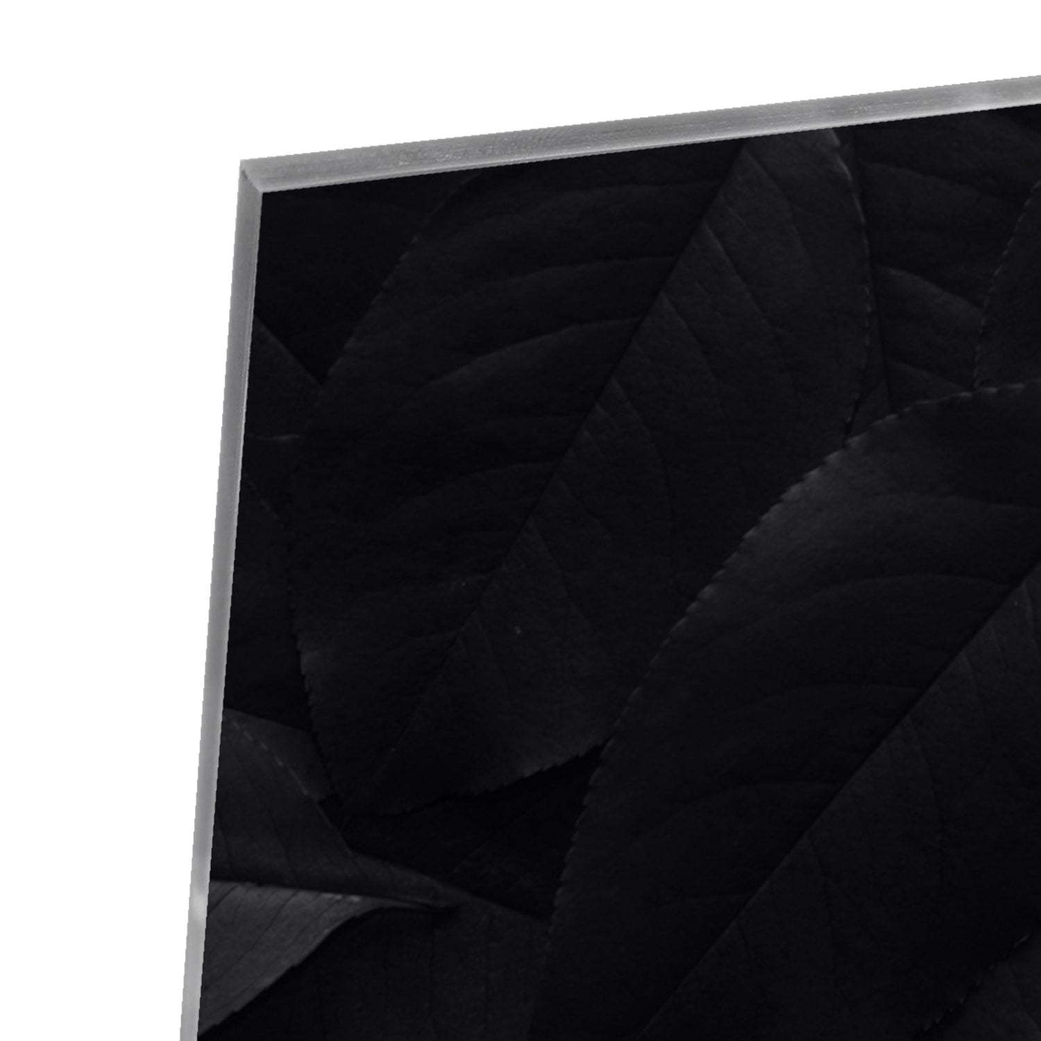 Elegantes Glasbild mit Blättern in Schwarz und Grau – Glasbild aus Sicherheitsglas, Größe 100x100_rond