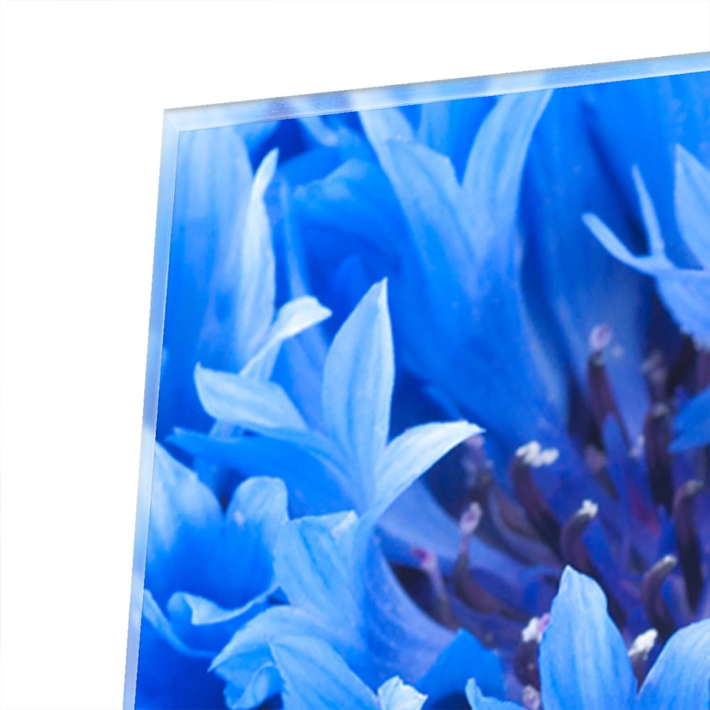 Blaues Glasbild mit Blumenmotiv – Glasbild aus Sicherheitsglas, Größe 100x100_rond
