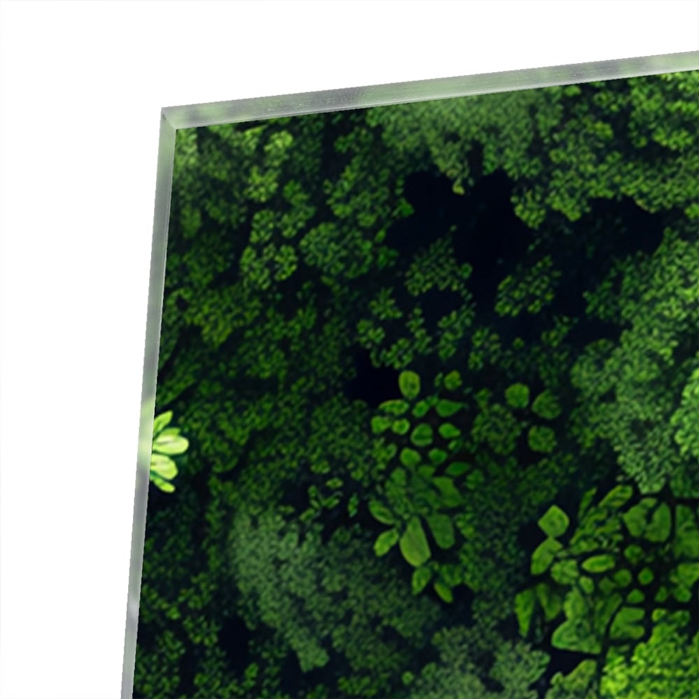 Glasbild mit Himmelsmotiv und üppigem grünen Wald – Glasbild aus Sicherheitsglas, Größe 100x100_rond