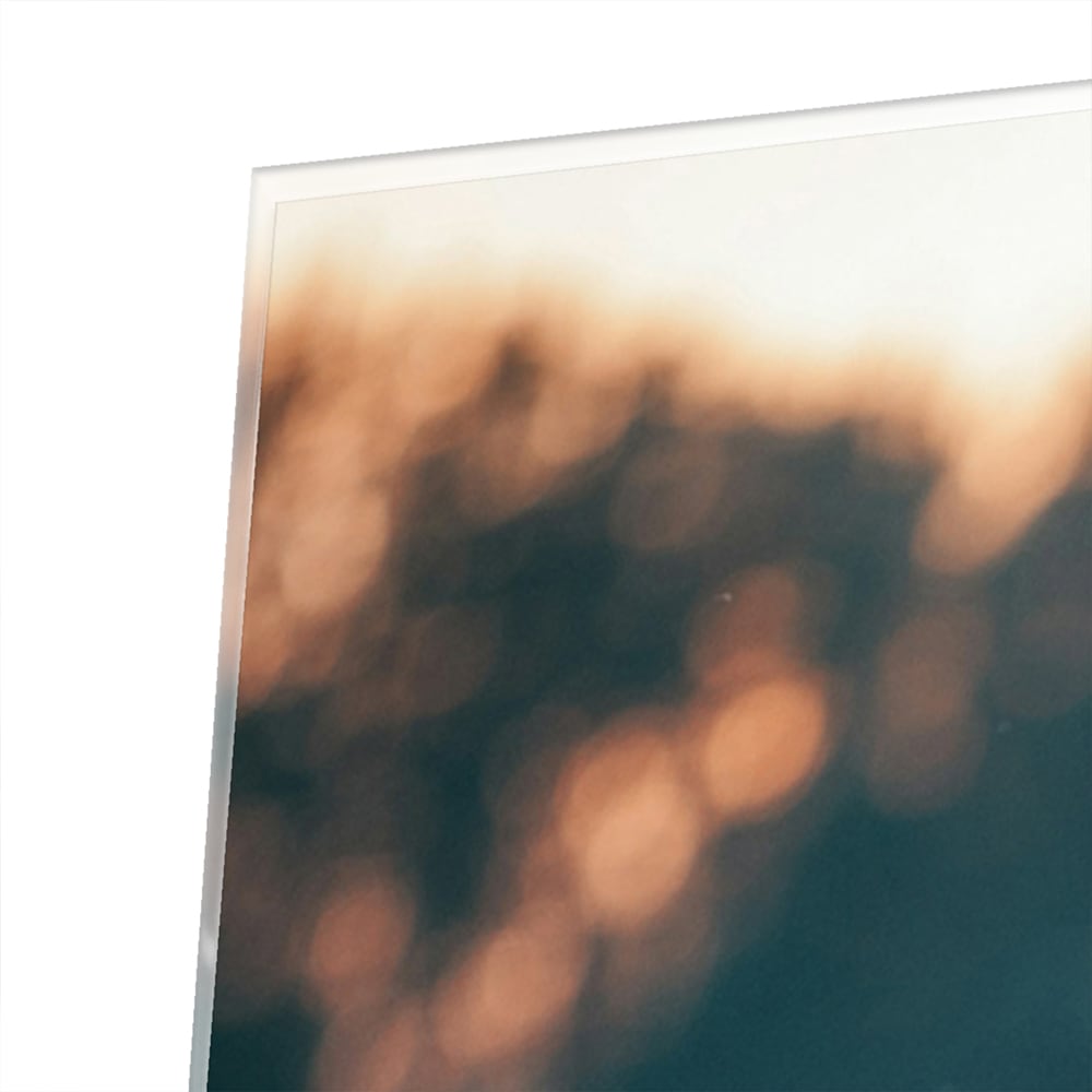 Glänzendes Glasbild mit schottischem Hochlandrind – Glasbild aus Sicherheitsglas, Größe 100x100_rond