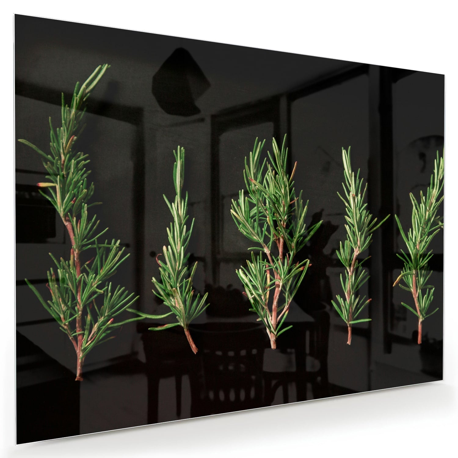 Modernes Glasbild mit grünen Ästen