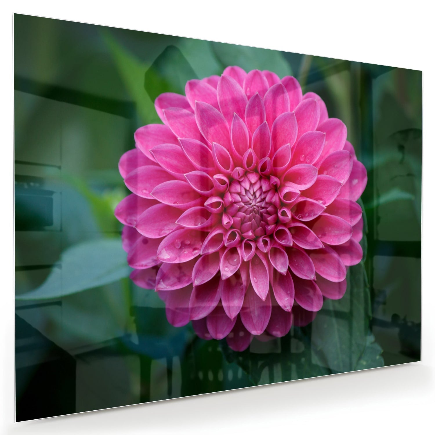 Wunderschönes Glasbild mit rosa Blume