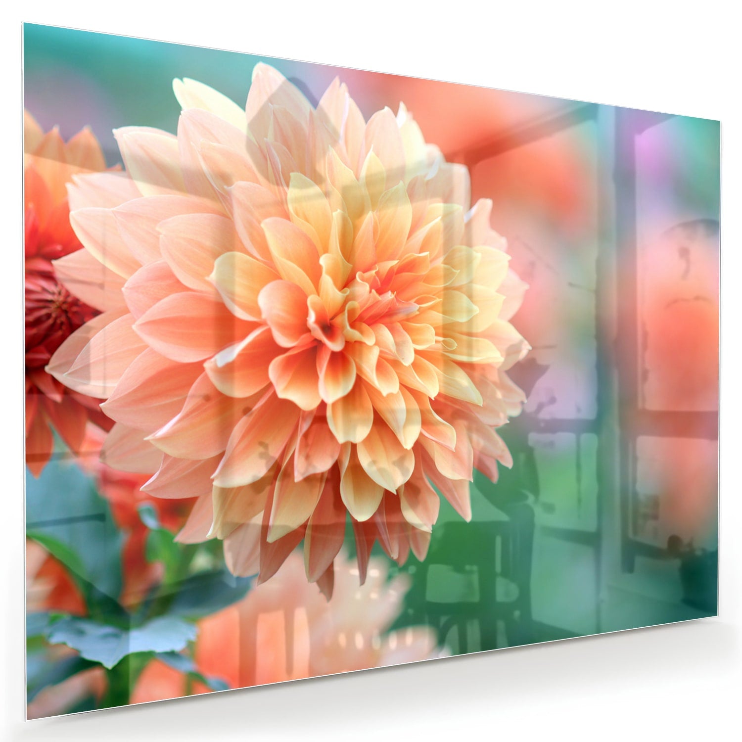 Glasbild mit Pastellrosa Dahlie