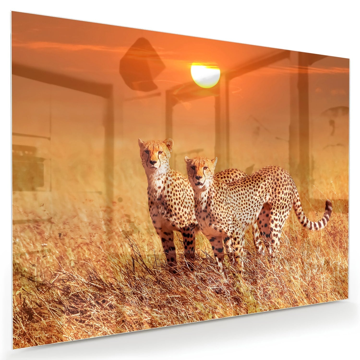 Glasbild elegantes Glas Glasbilder mit Geparden in der Natur als moderne Glas-Wanddekoration aus 4 mm Sicherheitsglas