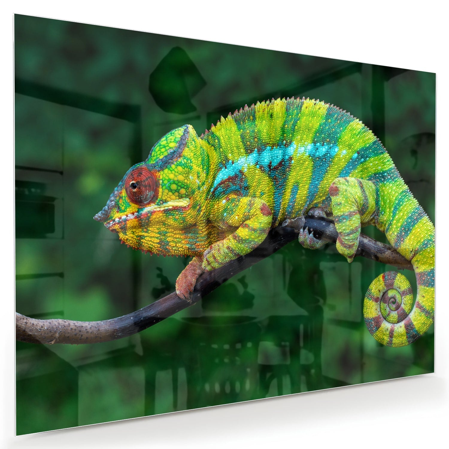 Farbenfrohes Glasbild mit einem Chamäleon