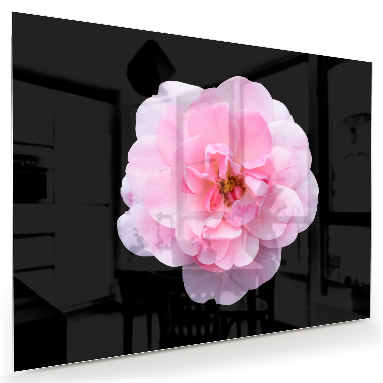 Elegantes Glasbild mit rosa Blume auf schwarzem Hintergrund