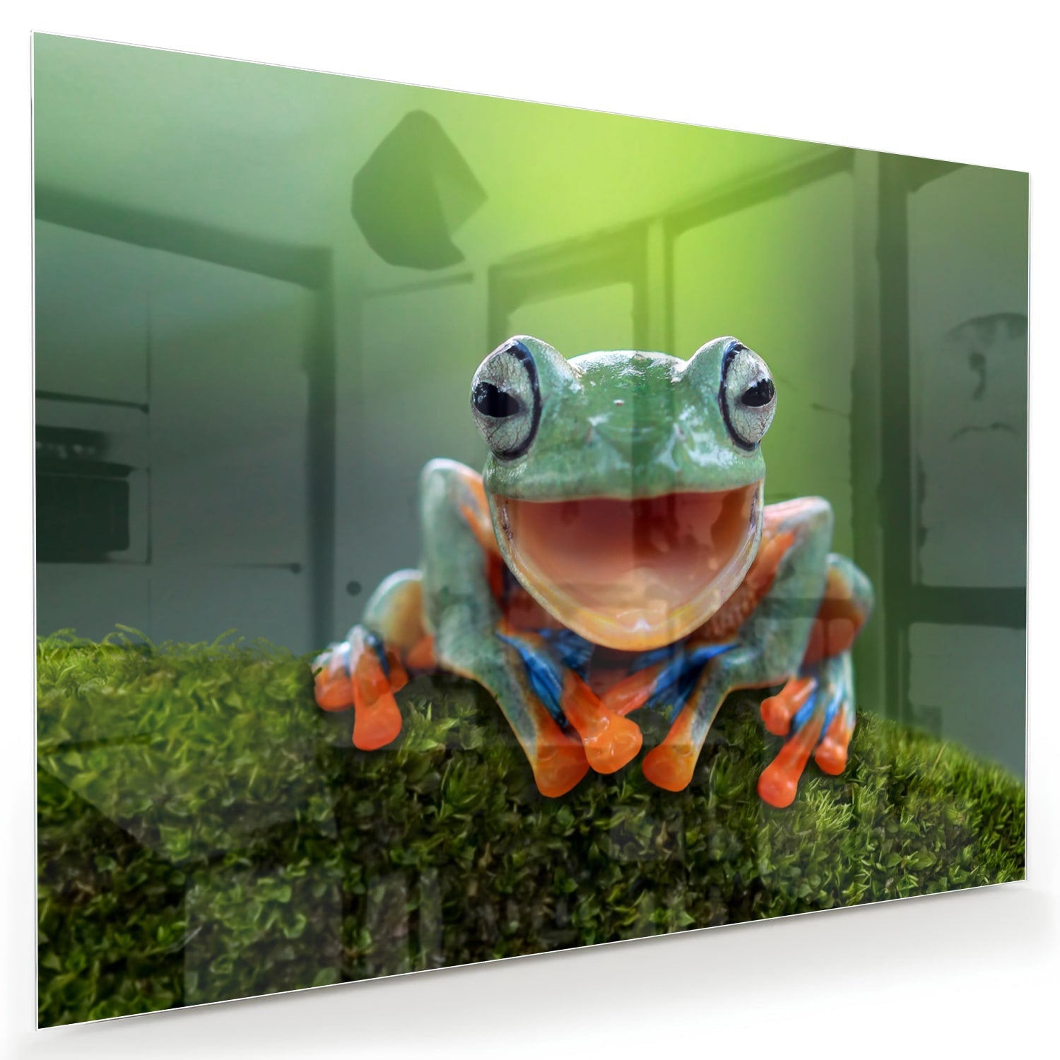 Fröhliches Glasbild mit Laubfrosch