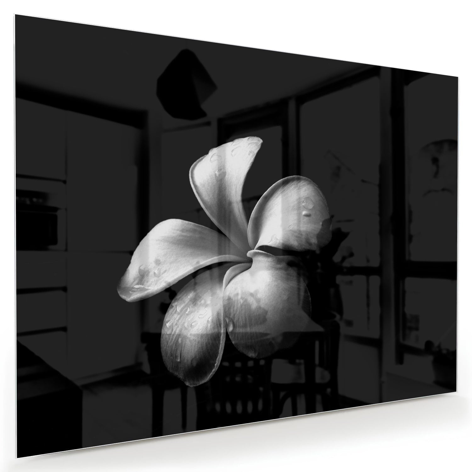 Elegantes schwarzes Glasbild mit Blumenmotiv
