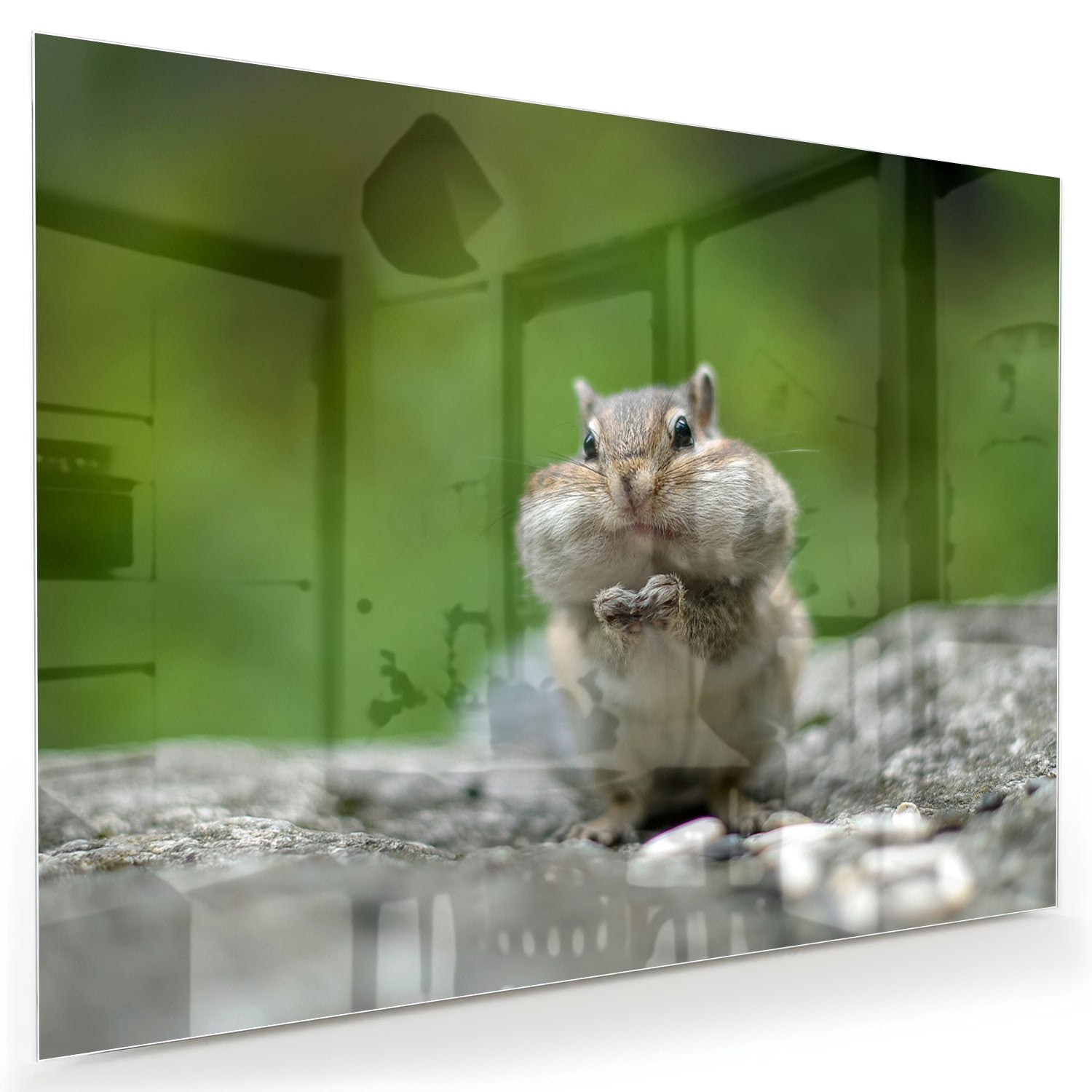 Niedliches Glasbild mit Eichhörnchen