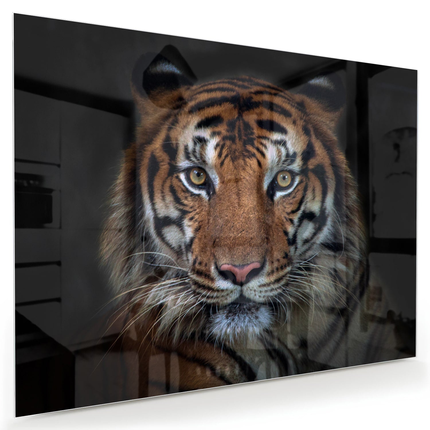 Kraftvoller Tiger – Glasbild für Ihr Interieur