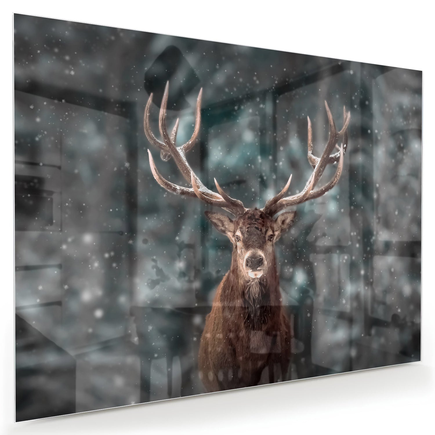 Glasbild mit majestätischem Hirsch in winterlicher Umgebung