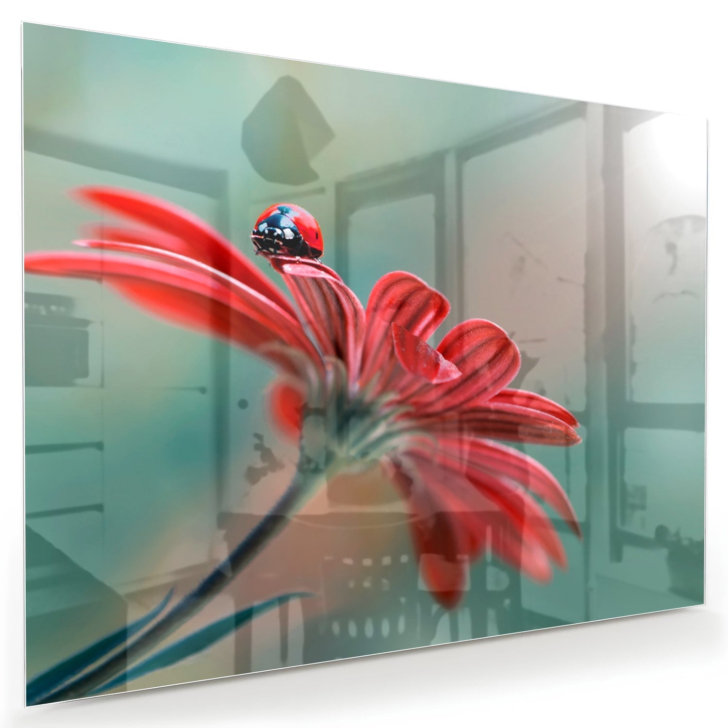 Glasbild mit einer Blume und einem Marienkäfer