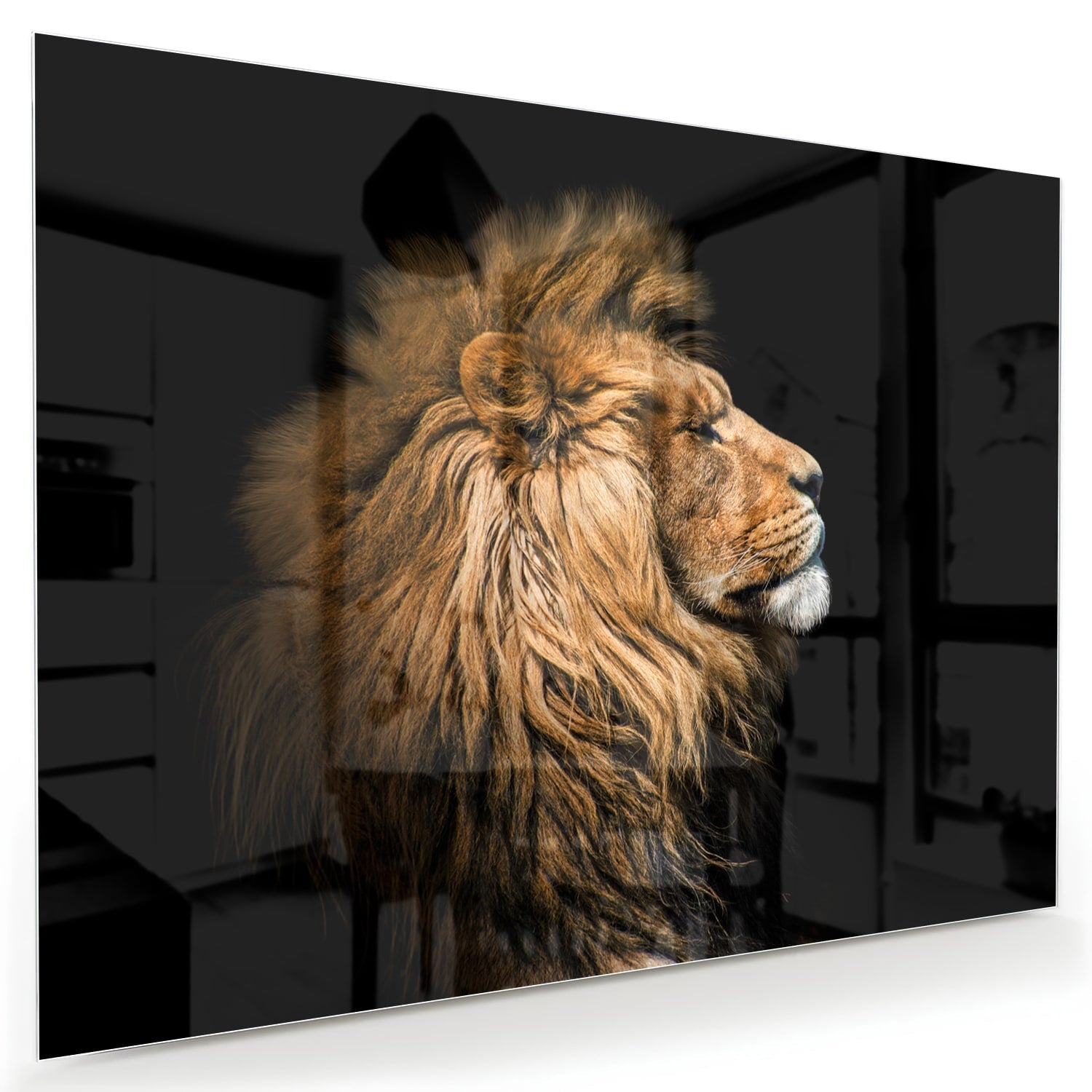 Glasbild mit majestätischem Löwen