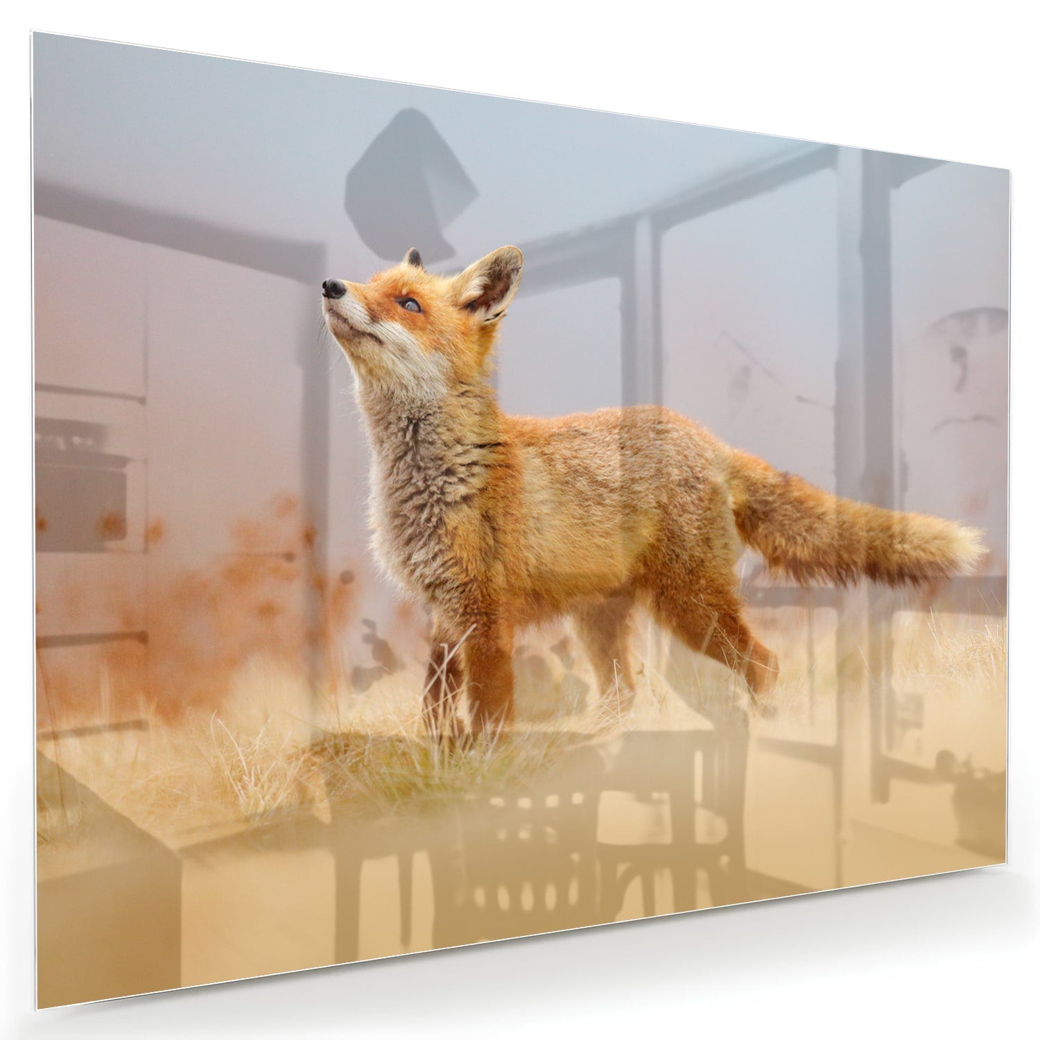 Stilvolles Glasbild mit einem Fuchs in der Natur