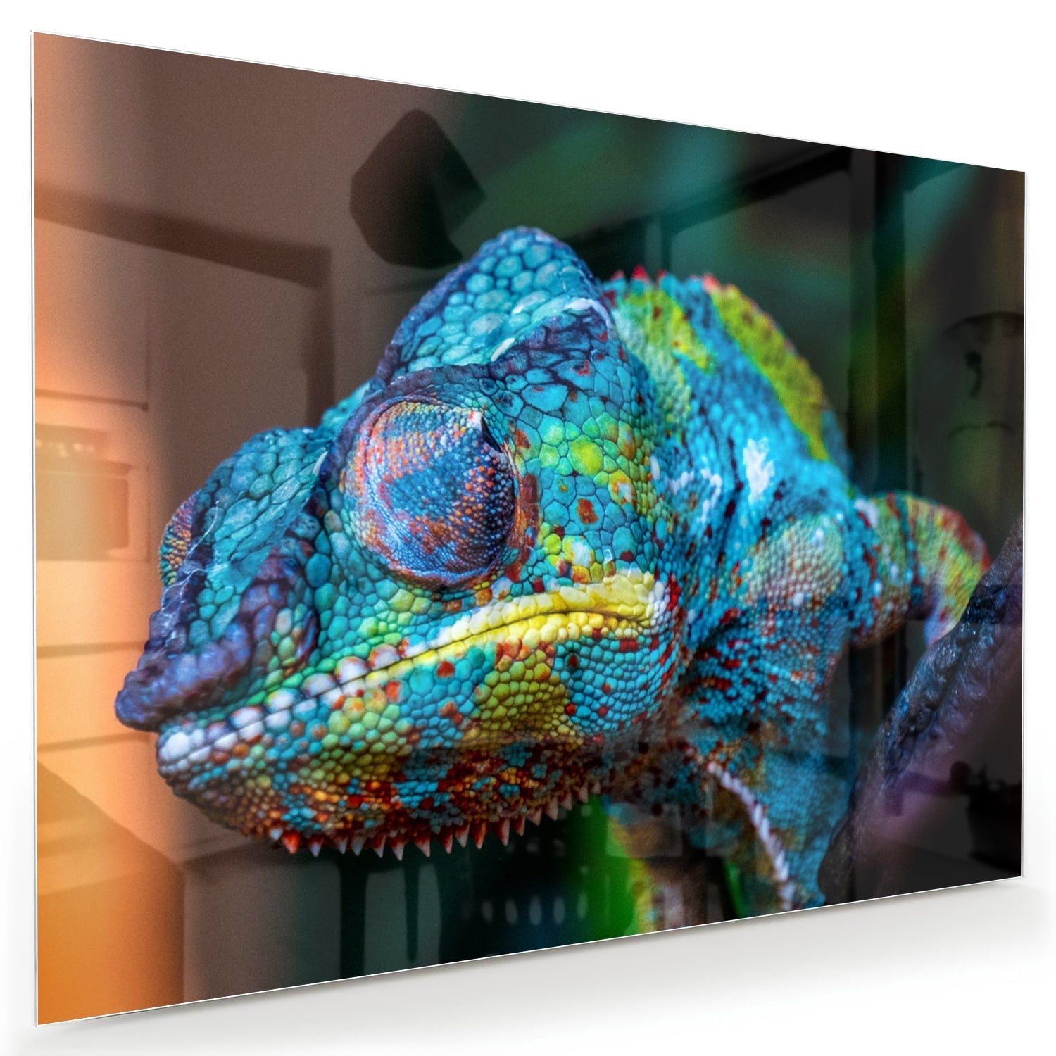 Farbenfrohes Chamäleon-Glasbild für Ihr Interieur