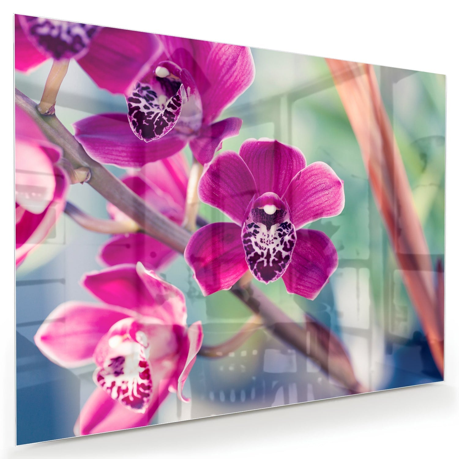 Wunderschönes Glasbild mit violetten Orchideen
