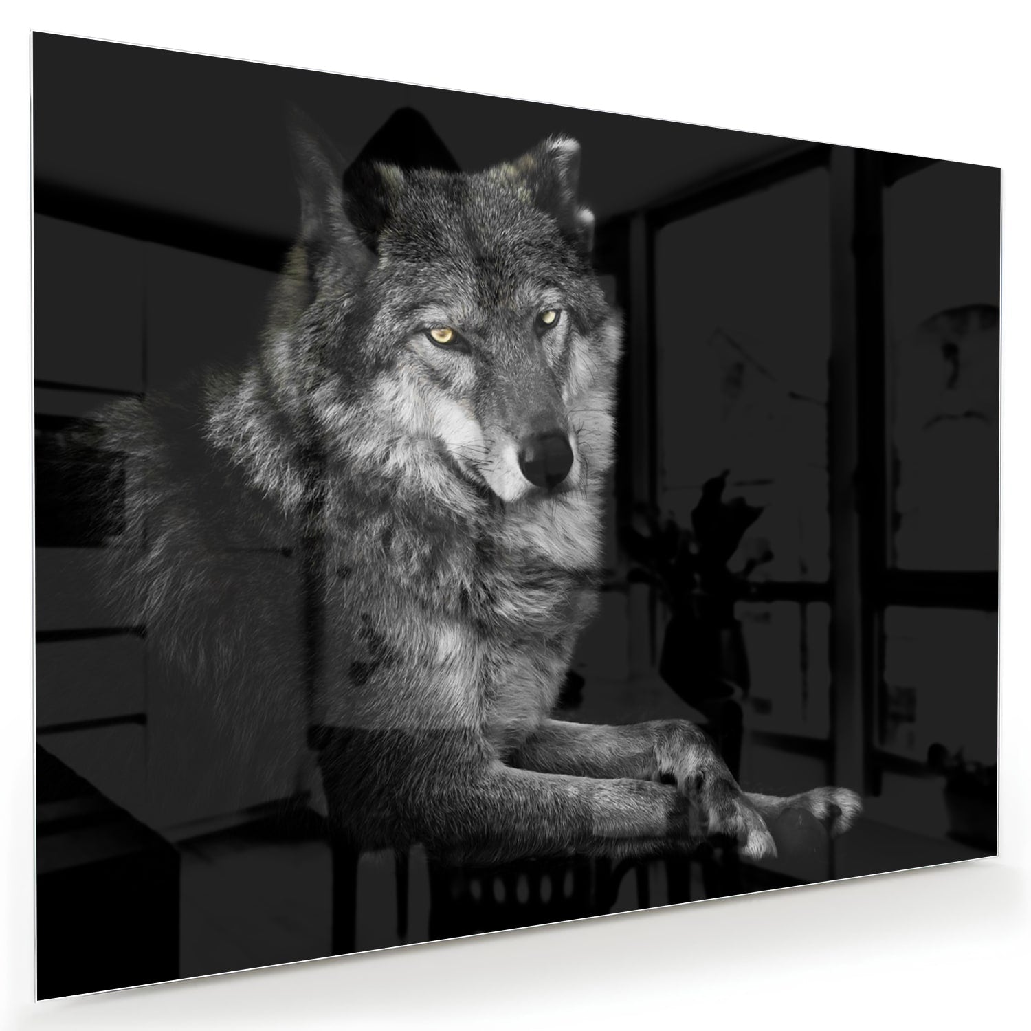 Glasbild mit einem majestätischen Wolf