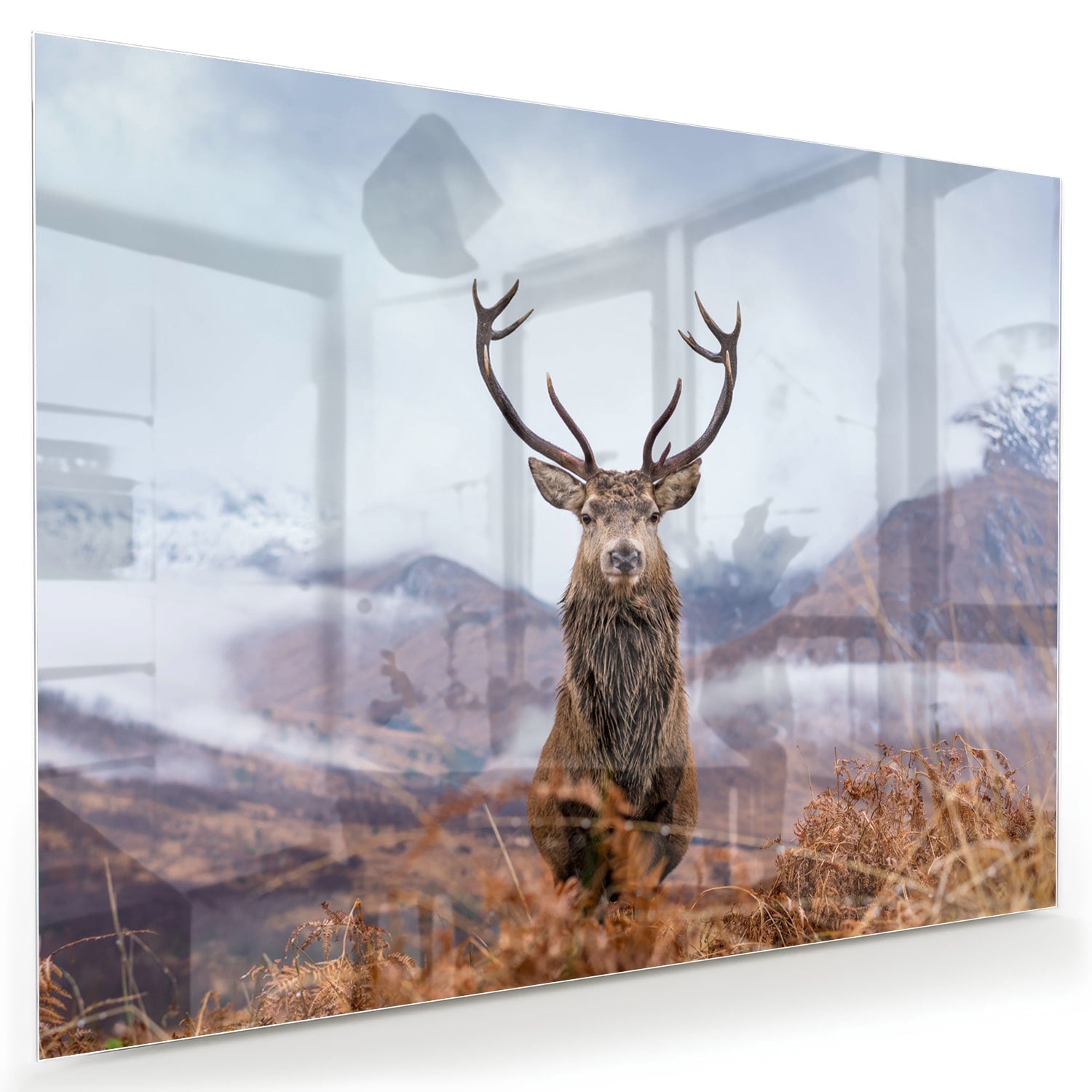Glasbild mit majestätischem Hirsch in einer ruhigen Berglandschaft