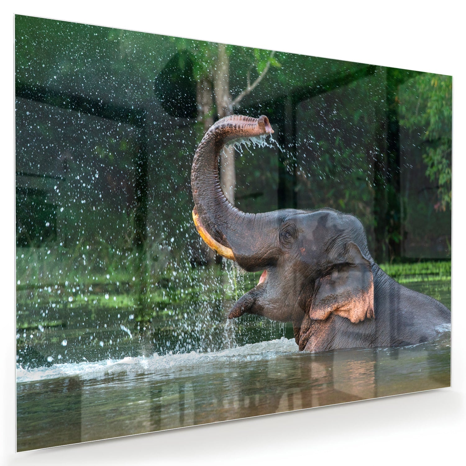 Wunderschönes Glasbild mit einem Elefanten im Wasser