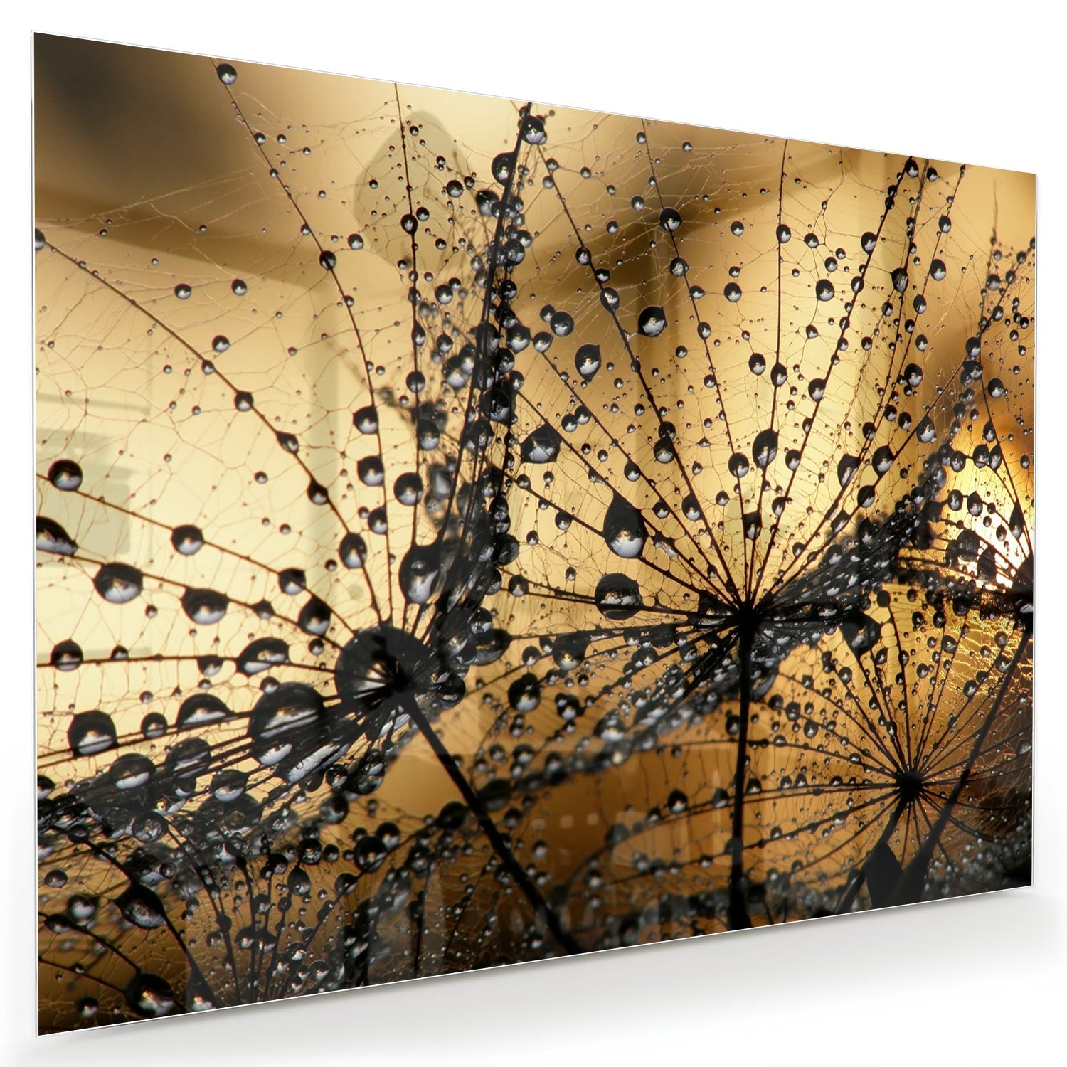 Glasbild mit goldenen Wassertropfen