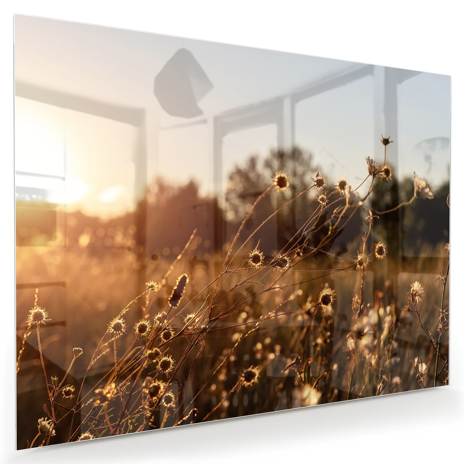 Zauberhaftes Glasbild mit goldenem Sonnenuntergang