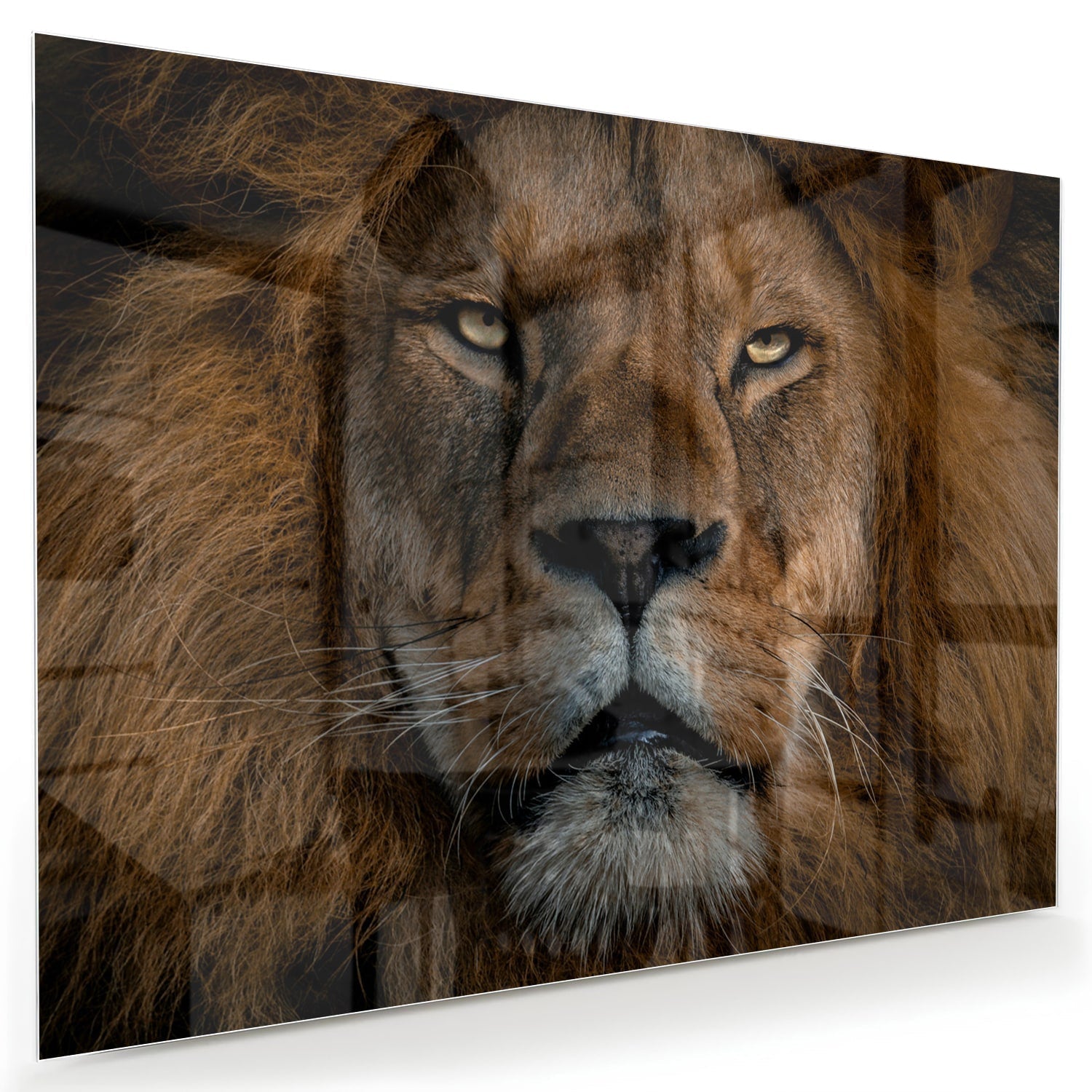 Glasbild mit majestätischem Löwen – einzigartige Wanddekoration