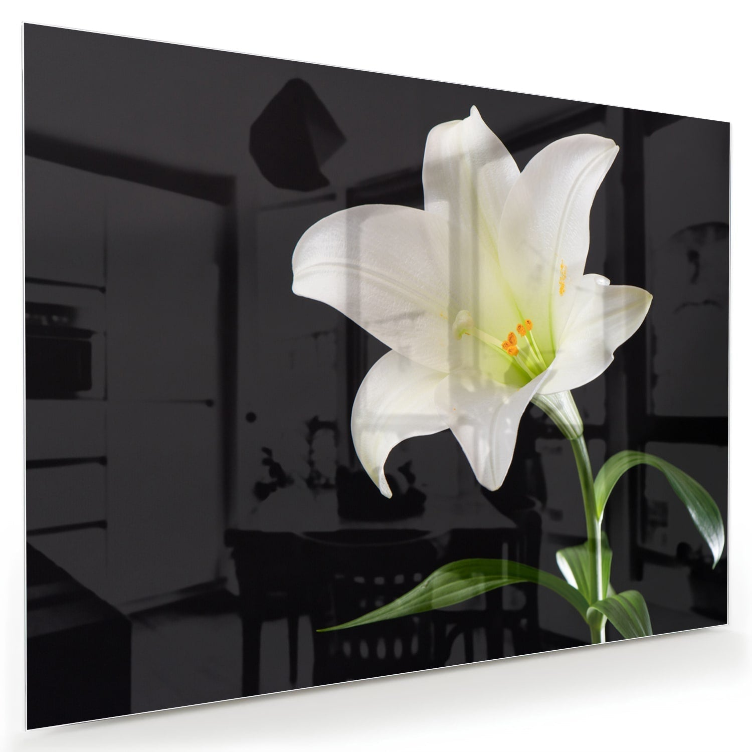Stilvolles Glasbild mit einer weißen Lilie