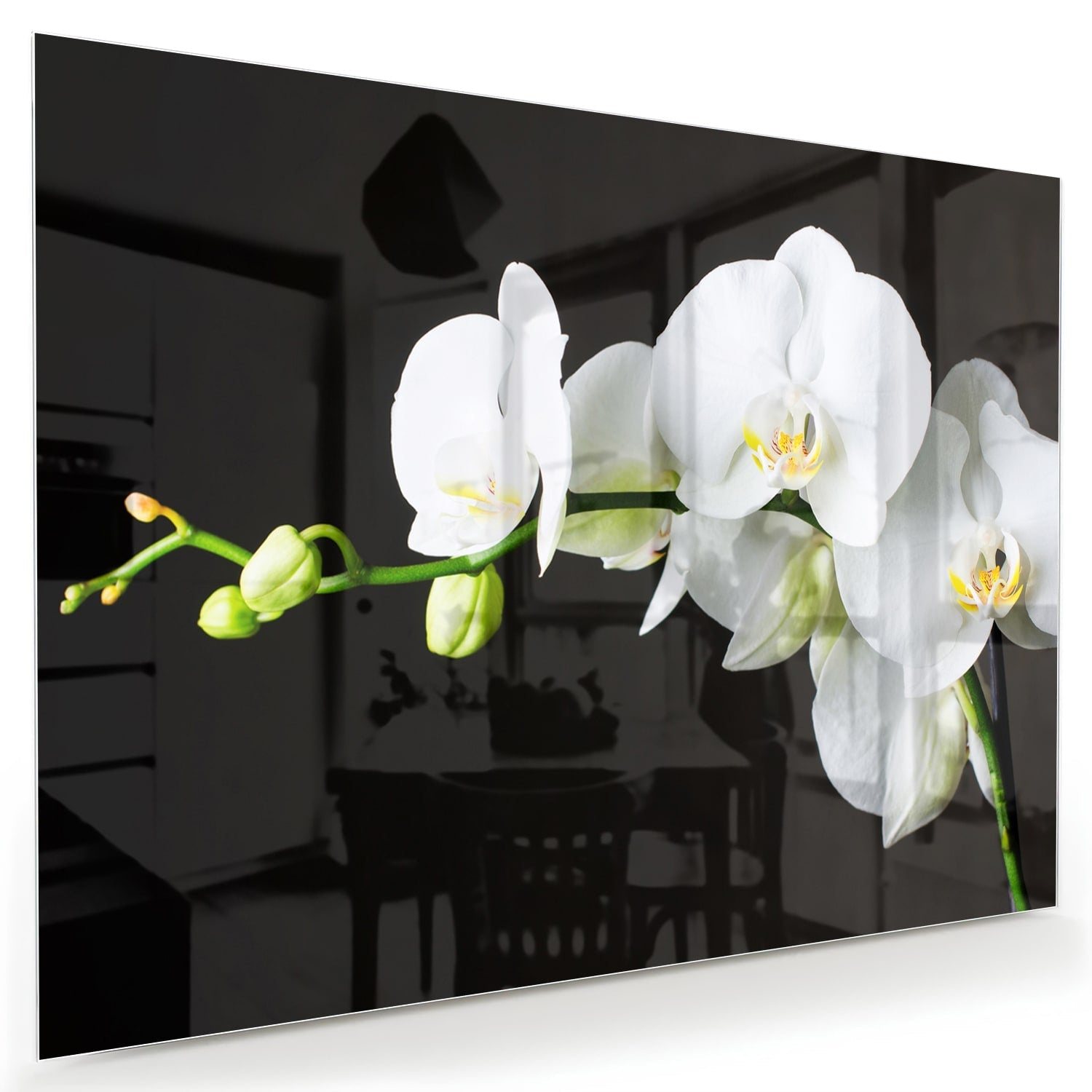 Elegantes Glasbild mit weißen Orchideen