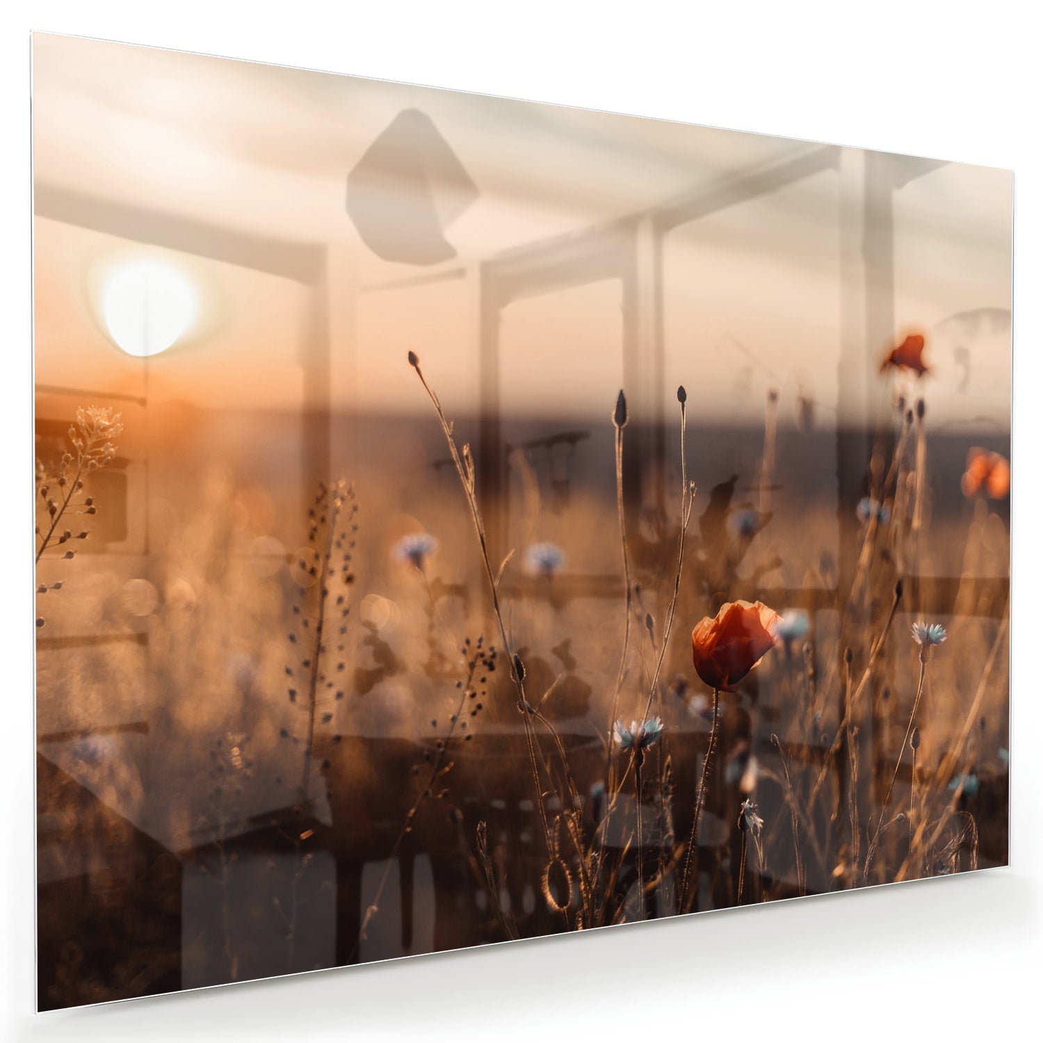 Glasbild – Mohnfeld in sanftem Glanz