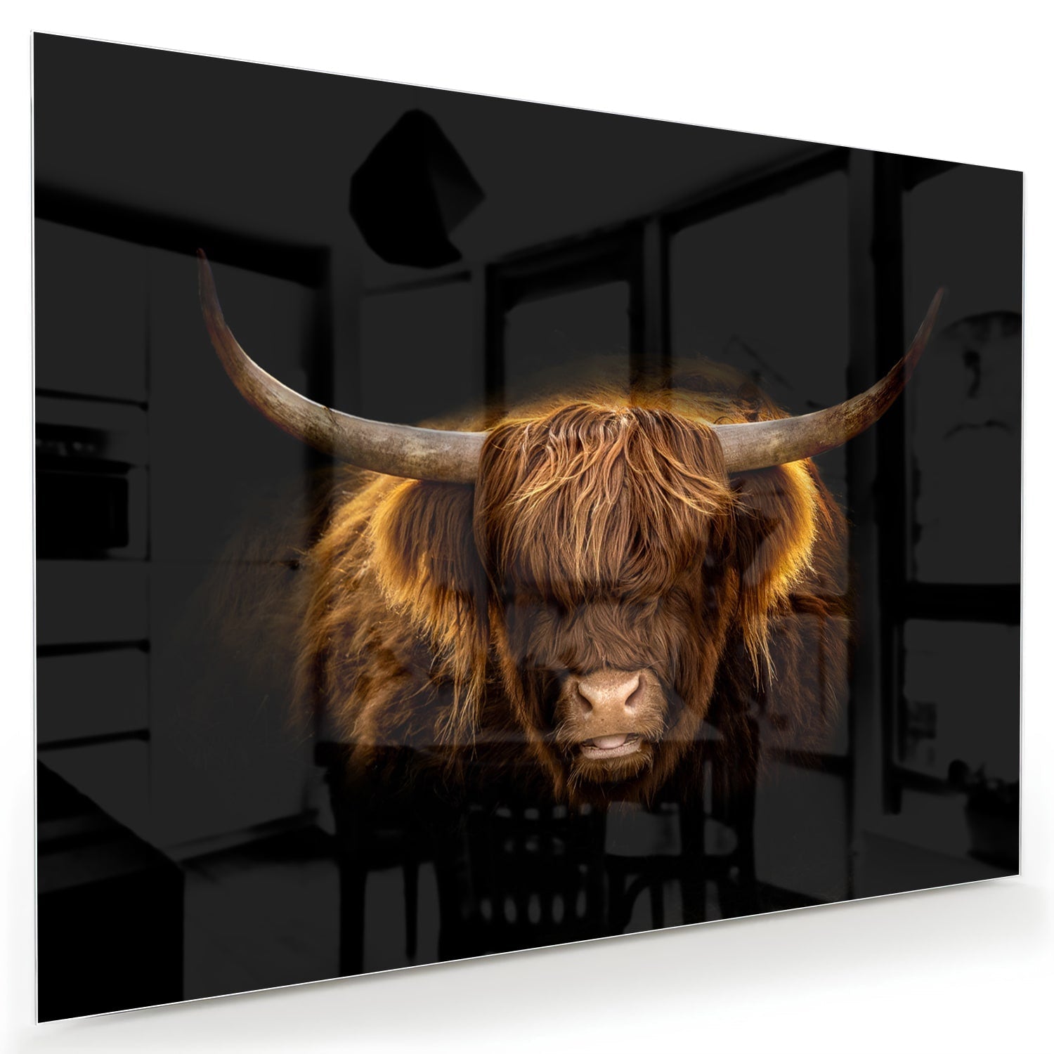 Beeindruckendes Glasbild mit Highland-Rind
