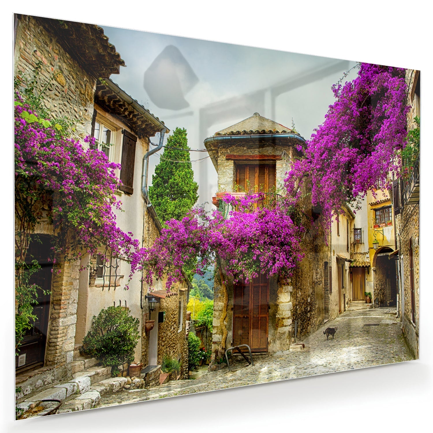 Glasbild mit stimmungsvoller Straßenansicht und violetten Blüten