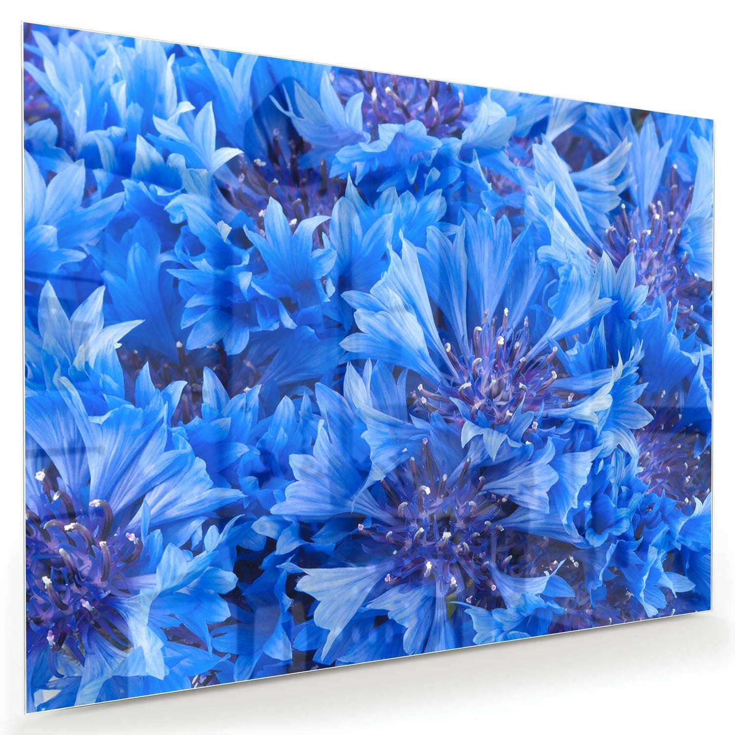 Blaues Glasbild mit Blumenmotiv