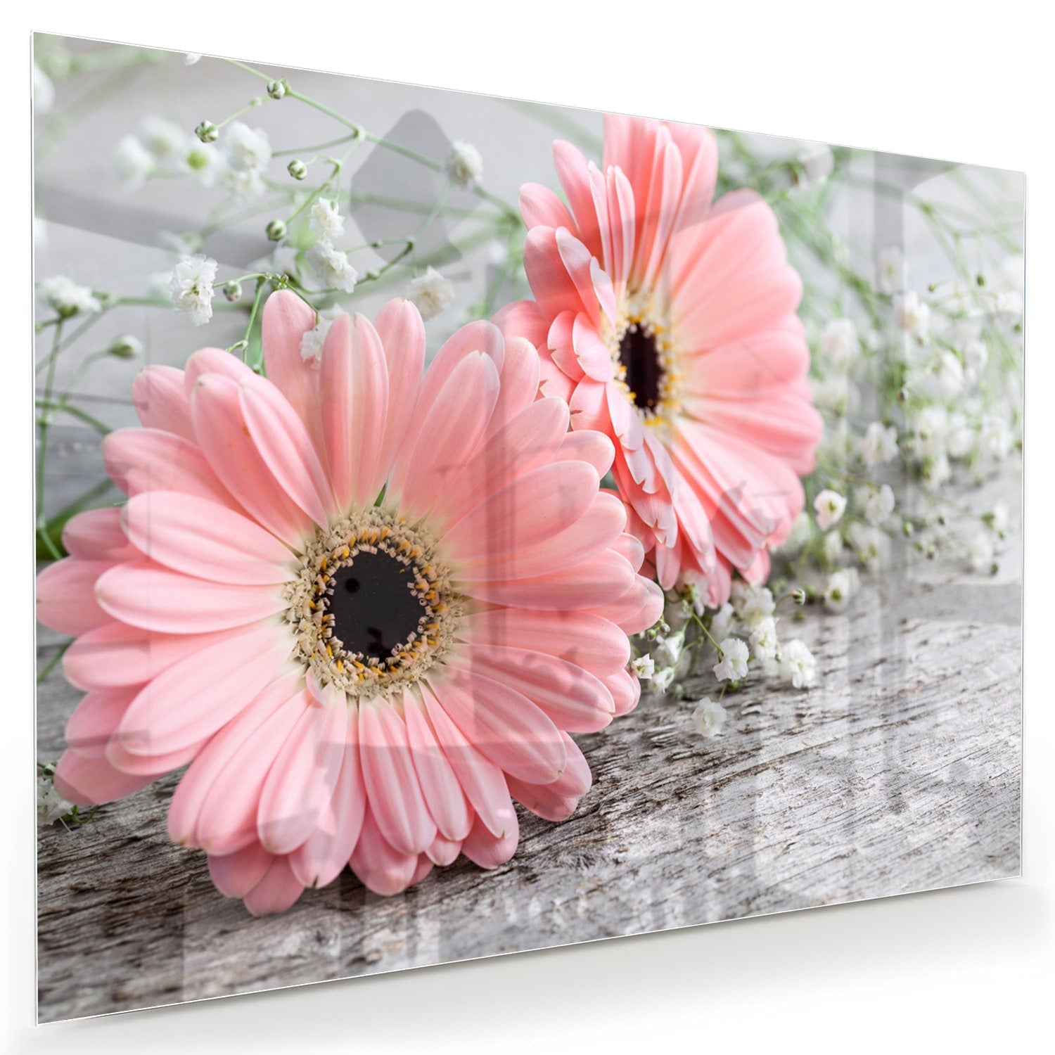 Rosafarbenes Gerbera-Glasbild für ein modernes Zuhause