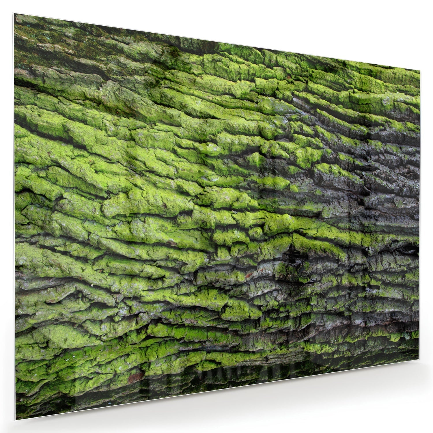 Glasbild mit moosartiger Textur