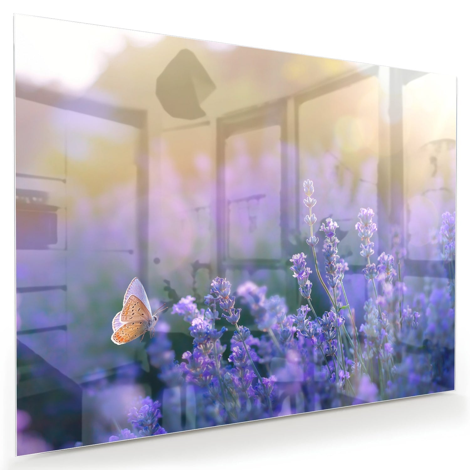 Glasbild mit violettem Lavendel und Schmetterling