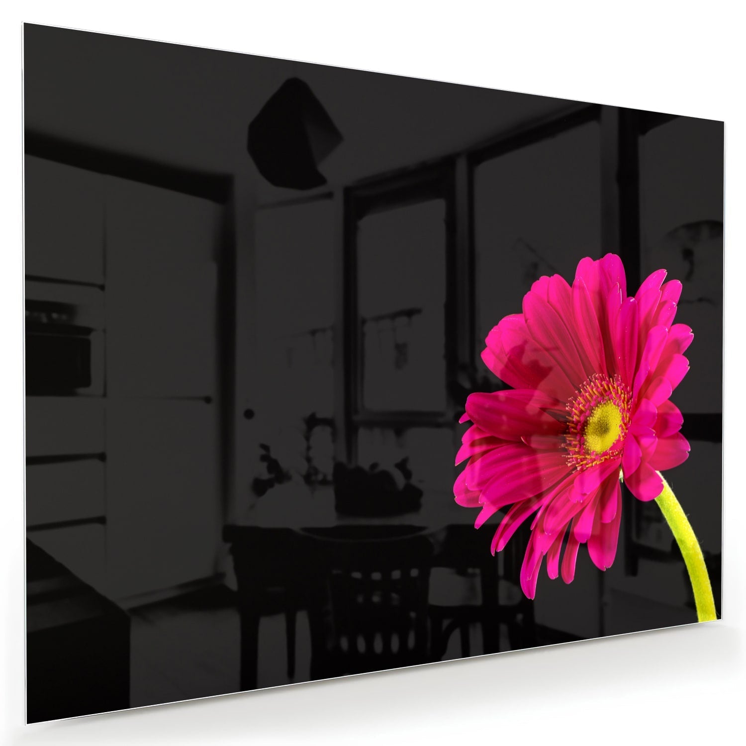 Glasbild – Wunderschöne rosa Gerbera auf schwarzem Hintergrund