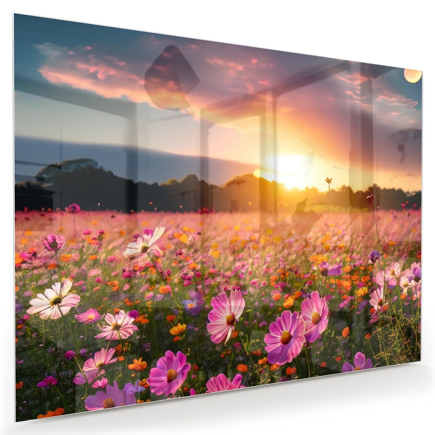 Glasbild – Sonnenuntergang über Blumenfeld