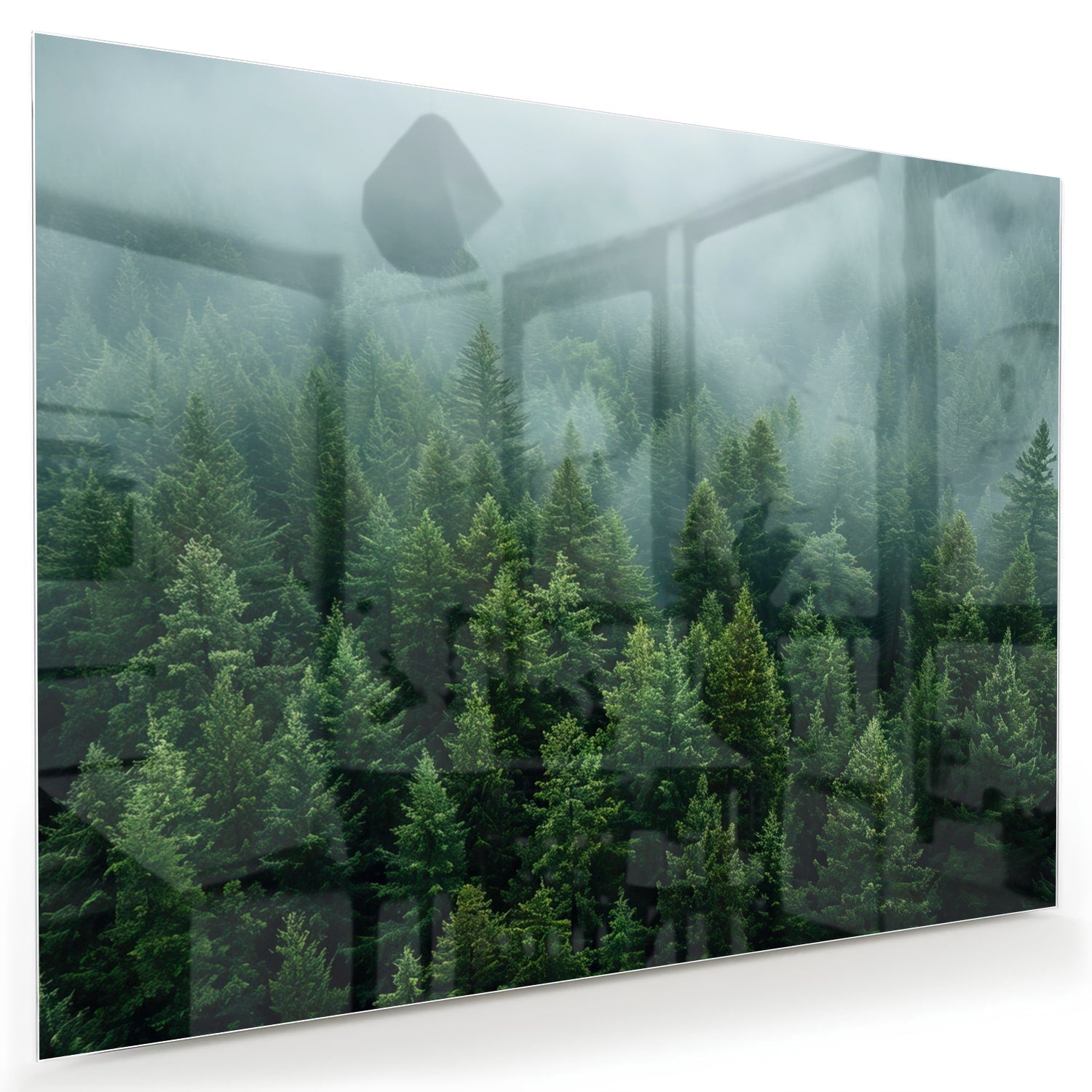 Glasbild mit nebligen Tannenwäldern