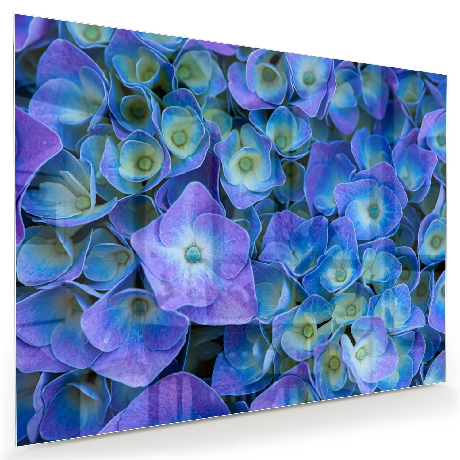 Farbenfrohes Glasbild mit blauen Blumen