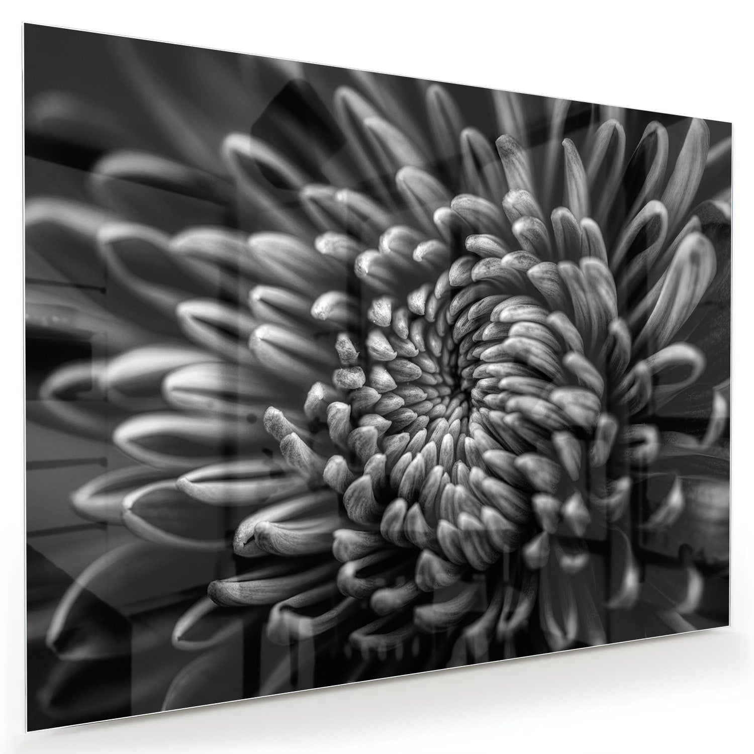 Schwarz-Weiß-Glasbild mit geschwungener Blume