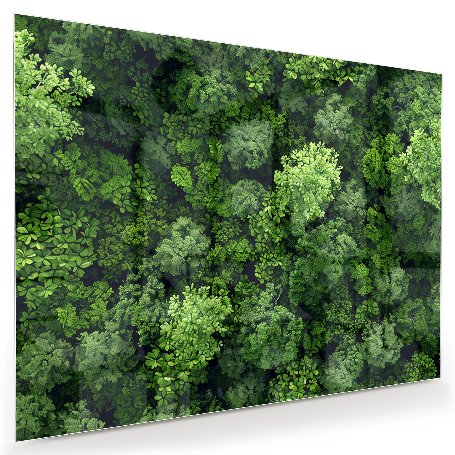 Glasbild mit Himmelsmotiv und üppigem grünen Wald