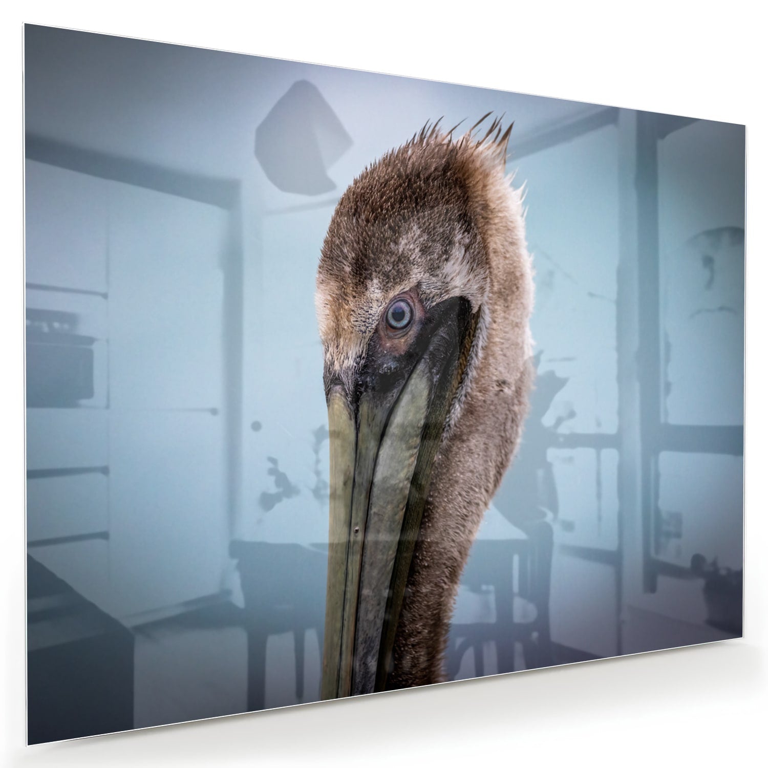 Stilvolles Glasbild mit Pelikan-Porträt