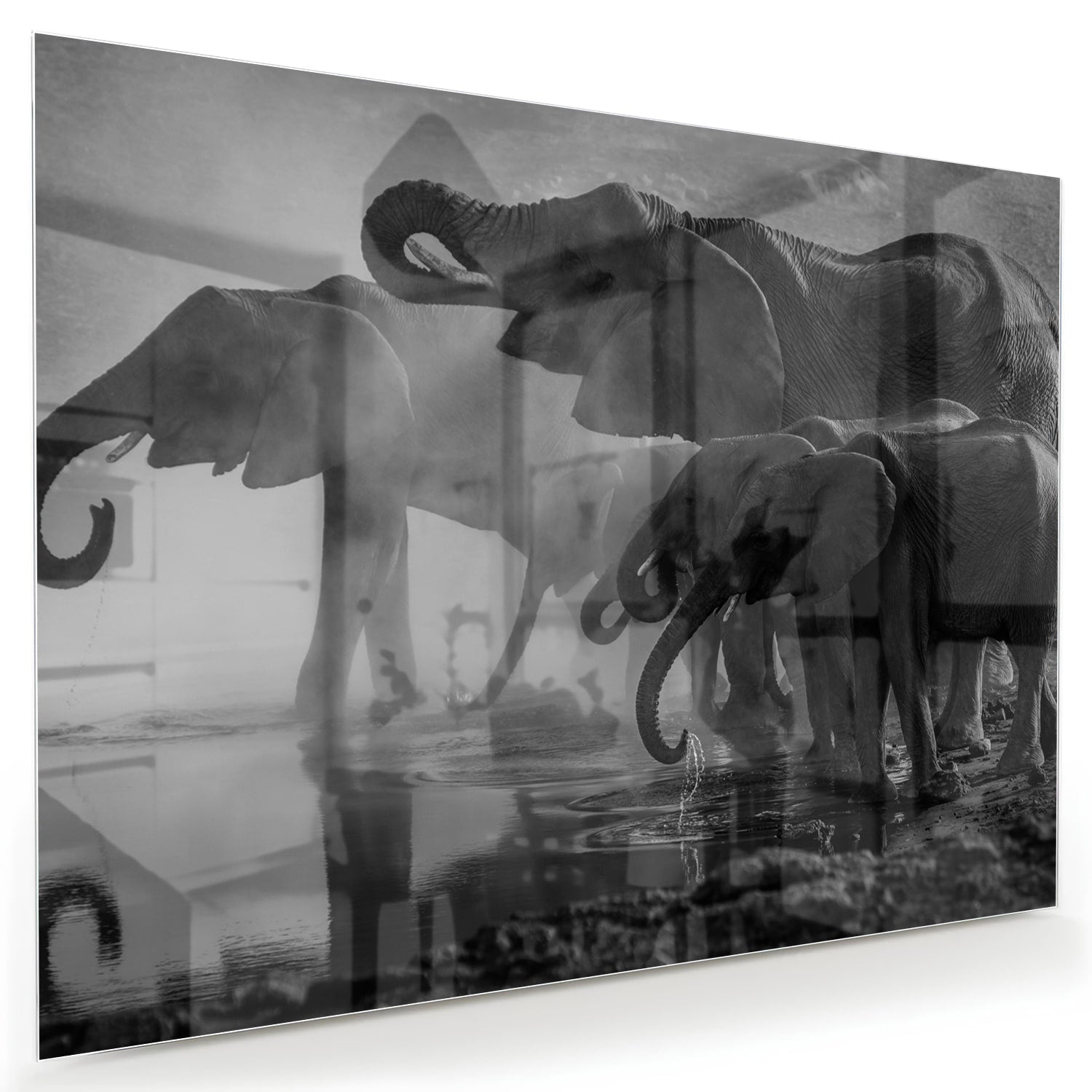 Glasbild mit majestätischen Elefanten